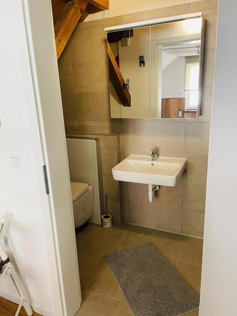 Dachstudio Eggingen エクステリア 写真